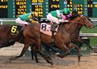 Ive Struck a Nerve (#8) comes out on top after a wild finish in the Risen Star.
