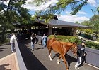 Keeneland September Sale Sees More Gains Keeneland September Sale Sees More Gains