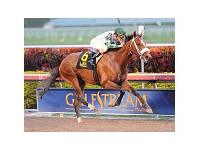 Mucho Macho Man won the 2012 Sunshine Millions Classic.