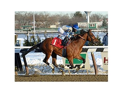 Noble Moon takes the Jerome Stakes under Irad Ortiz Jr.<br><a target="blank" href="http://photos.bloodhorse.com/AtTheRaces-1/At-the-Races-2014/35724761_2vdnSX#!i=3005468726&k=zHswz4M">Order This Photo</a>