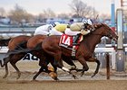 Samraat
<br><a target="blank" href="http://photos.bloodhorse.com/AtTheRaces-1/At-the-Races-2014/35724761_2vdnSX#!i=3100298347&k=q4r8M8N">Order This Photo</a>