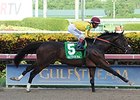 Atreides is undefeated in 3 starts. <br><a target="blank" href="http://photos.bloodhorse.com/AtTheRaces-1/At-the-Races-2014/i-9kzW4zg">Order This Photo</a>