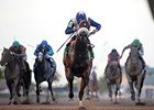 Falling Sky runs away from the competition in the Gulfstream Park Sprint Stakes.<br><a target="blank" href="http://photos.bloodhorse.com/AtTheRaces-1/At-the-Races-2014/35724761_2vdnSX#!i=3065549153&k=wW53WMs">Order This Photo</a>