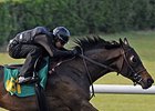 Hip No. 161, a filly by Flatter, was one of 4 who went 1/8 in :09 4/5.