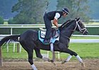 Revolutionary
<br><a target="blank" href="http://photos.bloodhorse.com/TripleCrown/2013-Triple-Crown/Belmont-Stakes-145/i-h3g8VjZ">Order This Photo</a>