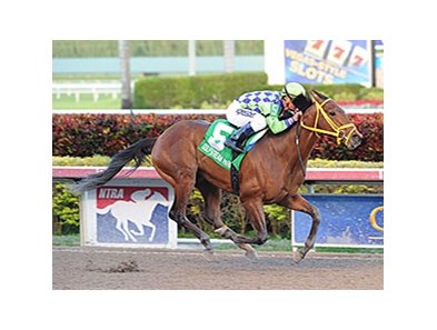 Wildcat Red<br><a target="blank" href="http://photos.bloodhorse.com/AtTheRaces-1/At-the-Races-2014/35724761_2vdnSX#!i=3053786949&k=bmkwg83">Order This Photo</a>