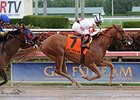 Storming Inti makes his graded stakes in the Palm Beach Stakes.<br><a target="blank" href="http://photos.bloodhorse.com/AtTheRaces-1/at-the-races-2013/27257665_QgCqdh#!i=2940130209&k=gnS8Dx3">Order This Photo</a>