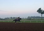 Keeneland's dirt surface Aug. 28