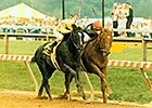 Sunday Silence