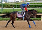 Ria Antonia
<br><a target="blank" href="http://photos.bloodhorse.com/TripleCrown/2014-Triple-Crown/Kentucky-Derby-Workouts/i-8f3znGL">Order This Photo</a>