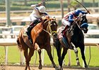Declassify (right) fights back on the inside to win the Triple Bend Stakes.