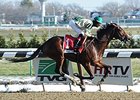Samraat is undefeated in three starts.<br><a target="blank" href="http://photos.bloodhorse.com/AtTheRaces-1/at-the-races-2013/27257665_QgCqdh#!i=2977365148&k=LFw9p6M">Order This Photo</a>