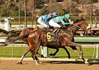 Blingo gets by Imperative to win the San Antonio Stakes.