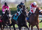 Occasional View and Alan Garcia (center) take the Commonwealth Stakes.<br><a target="blank" href="http://photos.bloodhorse.com/AtTheRaces-1/At-the-Races-2014/35724761_2vdnSX#!i=3175362783&k=BbqcpvX">Order This Photo</a>
