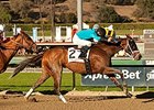 Heir Kitty will make her first start since April in the Great Lady M Stakes.
