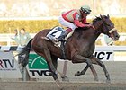 Wicked Strong Charges to Wood Memorial Score Wicked Strong Charges to Wood Memorial Score