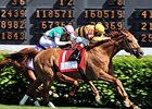 Wise Dan won the 2014 Woodford Reserve Turf Classic. <br><a target="blank" href="http://photos.bloodhorse.com/AtTheRaces-1/At-the-Races-2014/i-ZNQG4Fx">Order This Photo</a>