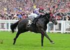 No Nay Never winning the Norfolk Stakes.
<br><a target="blank" href="http://photos.bloodhorse.com/AtTheRaces-1/at-the-races-2013/27257665_QgCqdh#!i=2586436454&k=jrzqxfj">Order This Photo</a>