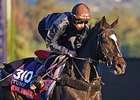 The Fugue <br><a target="blank" href="http://photos.bloodhorse.com/BreedersCup/2013-Breeders-Cup/Breeders-Cup/32986083_QMHXWK#!i=2874376450&k=QnV3RFh">Order This Photo</a>