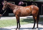 The sale-topper, Hip 150, a War Front filly, brought $1.25 million.