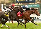 Quick Casablanca Posts Last Tycoon Surprise Quick Casablanca Posts Last Tycoon Surprise