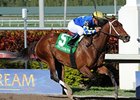 Hilda's Passion looks for her fourth graded stakes win in the Bed o' Roses Handicap.<br><a target="blank" href="http://www.bloodhorse.com/horse-racing/photo-store?ref=http%3A%2F%2Fpictopia.com%2Fperl%2Fgal%3Fprovider_id%3D368%26ptp_photo_id%3D9455890%26ref%3Dstory">Order This Photo</a>