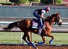 Main Sequence<br><a target="blank" href="http://photos.bloodhorse.com/BreedersCup/2014-Breeders-Cup/Works/i-bp7nnbC">Order This Photo</a>
