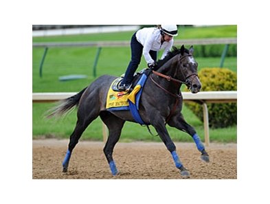 The Factor
<br><a target="blank" href="http://www.bloodhorse.com/horse-racing/photo-store?ref=http%3A%2F%2Fpictopia.com%2Fperl%2Fgal%3Fprovider_id%3D368%26ptp_photo_id%3D9503029%26ref%3Dstory">Order This Photo</a>