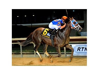 Caixa Eletronica in the 2012 Charles Town Classic.
