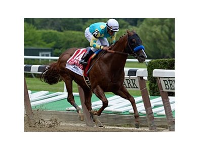 Fast Bullet won the 2013 True North Handicap. <br><a target="blank" href="http://photos.bloodhorse.com/AtTheRaces-1/at-the-races-2013/27257665_QgCqdh#!i=2562582928&k=hzLQG4B">Order This Photo</a>