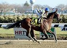 Salutos Amigos Adds Gravesend Stakes Victory Salutos Amigos Adds Gravesend Stakes Victory