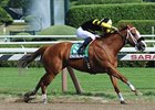 Pacific Ocean leads them home in the James Marvin.<br><a target="blank" href="http://photos.bloodhorse.com/AtTheRaces-1/at-the-races-2012/22274956_jFd5jM#!i=1977435326&k=4PD9Xq2">Order This Photo</a>