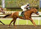 No catching Sidney's Candy in the San Felipe.<br><a target="blank" href="http://www.bloodhorse.com/horse-racing/photo-store?ref=http%3A%2F%2Fpictopia.com%2Fperl%2Fgal%3Fprovider_id%3D368%26ptp_photo_id%3D8839279%26ref%3Dstory">Order This Photo</a>