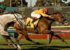 Tuscan Evening picks up her first grade I win with an impressive run in the Gamely.<br><a target="blank" href="http://www.bloodhorse.com/horse-racing/photo-store?ref=http%3A%2F%2Fpictopia.com%2Fperl%2Fgal%3Fprovider_id%3D368%26ptp_photo_id%3D9024271%26ref%3Dstory">Order This Photo</a>