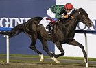 Mendip will look to notch his second straight stakes win in the Burj Nahaar.