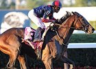 Fields Forming for 'Super Saturday' Stakes Fields Forming for 'Super Saturday' Stakes