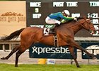 Suggestive Boy won the Arcadia Stakes by 2 1/2 lengths on Feb 2.