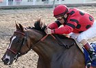 String King has won 126 of 36 starts, with 12 additional placings.<br><a target="blank" href="http://photos.bloodhorse.com/AtTheRaces-1/At-the-Races-2014/i-TZbwTx3">Order This Photo</a>