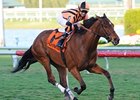 Little Mike in the Canadian Turf Stakes.