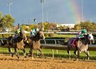 Game Redding Colliery Wins Hawthorne Gold Cup Game Redding Colliery Wins Hawthorne Gold Cup
