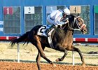 Ol Winedrinker Who captures the Zia Park Derby.
