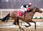 Fritchie Winner Tries Aqueduct's Distaff Fritchie Winner Tries Aqueduct's Distaff