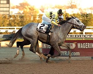Top Flight Fillies Meet in Sabin Top Flight Fillies Meet in Sabin