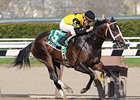 Mr. Fantasy won the Withers in 2009.<br><a target="blank" href="http://www.bloodhorse.com/horse-racing/photo-store?ref=http%3A%2F%2Fpictopia.com%2Fperl%2Fgal%3Fprovider_id%3D368%26ptp_photo_id%3D8040644%26ref%3Dstory">Order This Photo</a>