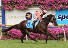 Black Caviar cruises in the CF Orr Stakes at Caulfield securing win number 18.