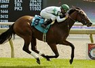 Prussian will face eight rivals April 4 when he makes his 2008 debut in the Central Bank Transylvania Stakes.