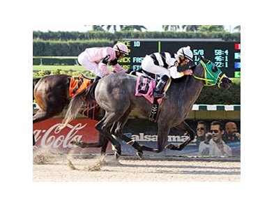 Salamera won the J J'sdream Stakes at Calder on June 30.