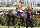 Gold Edition before her final start in the Lightning Stakes.
