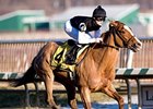 Golden Dawn won the Barbara Fritchie in February at Laurel Park.