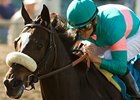 Zenyatta<br><a target="blank" href="http://www.bloodhorse.com/horse-racing/photo-store?ref=http%3A%2F%2Fpictopia.com%2Fperl%2Fgal%3Fprovider_id%3D368%26ptp_photo_id%3D8148338%26ref%3Dstory">Order This Photo</a>